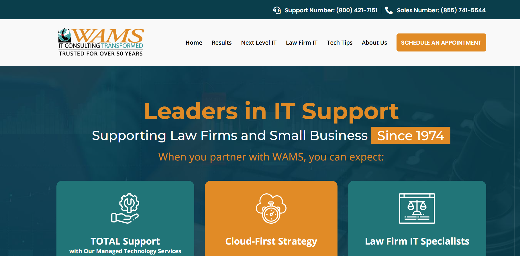 WAMS Inc. - best managed IT service company