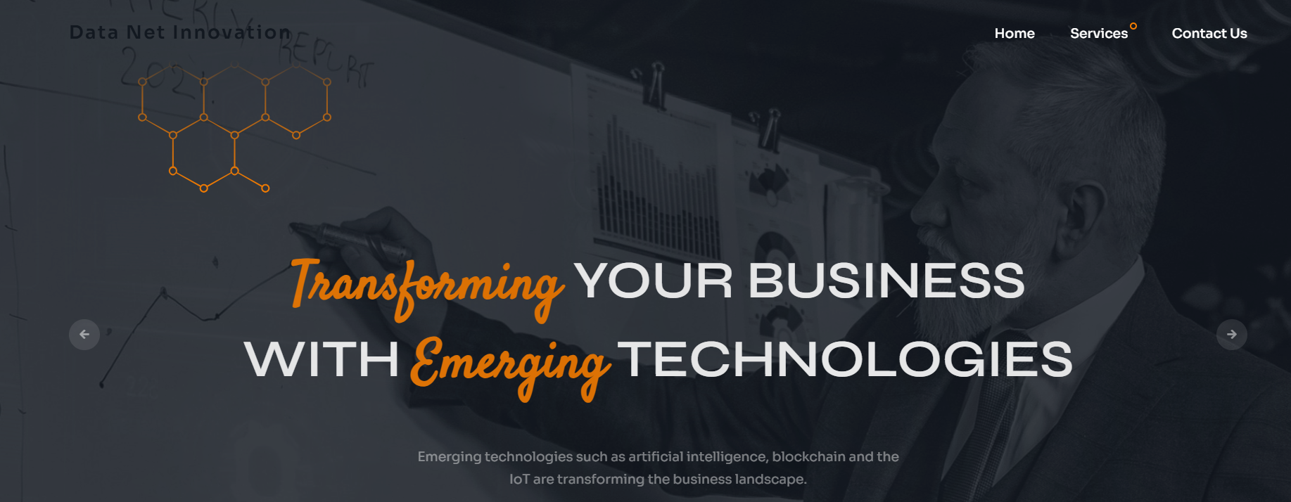 Data Net Innovation - best managed IT servcie company