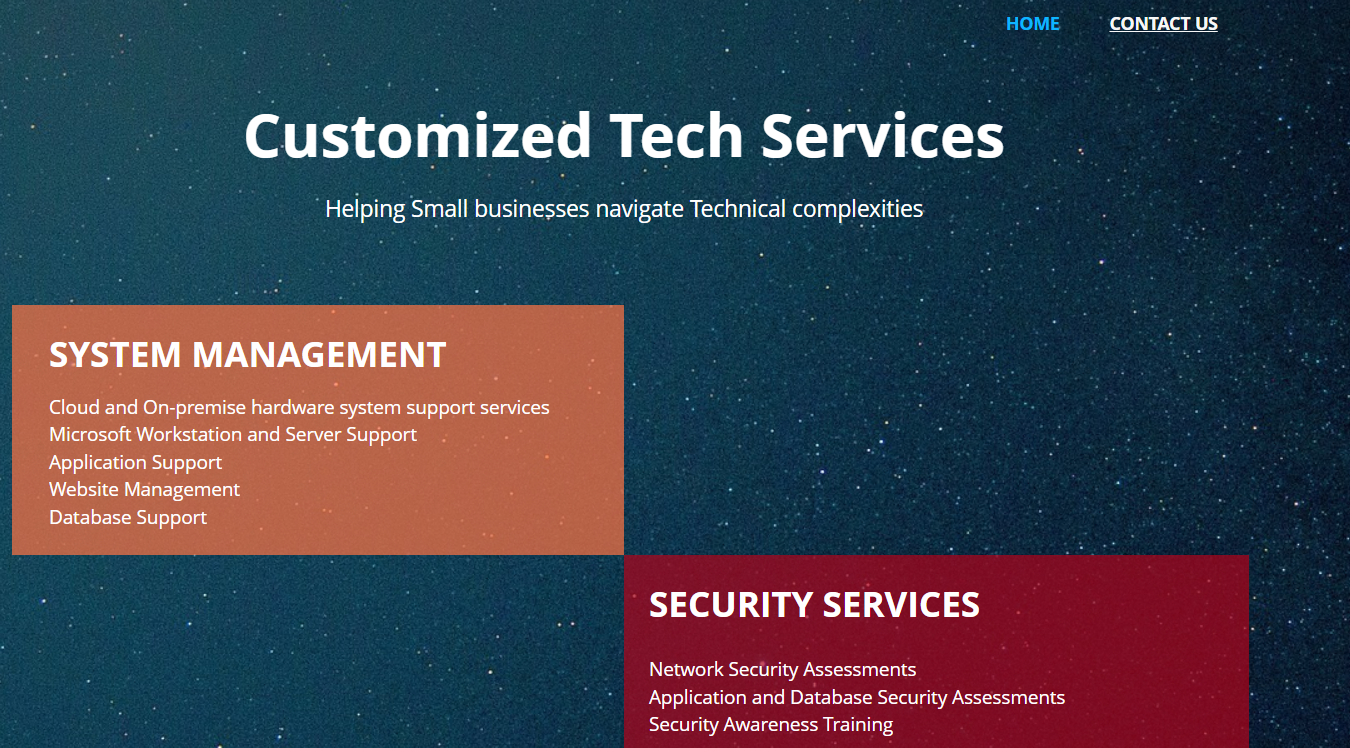 Customized Technology Services - best managed IT sservice company
