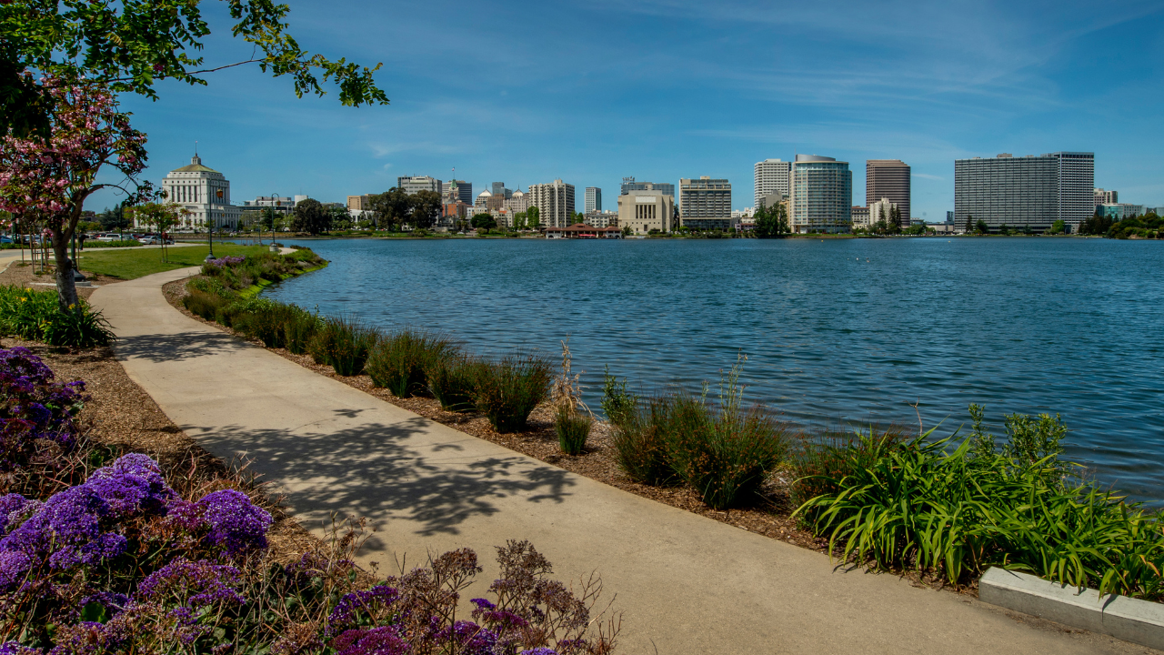 Orange Crew-35 Oakland it managed services